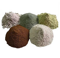 Екстракти грибів 10:1