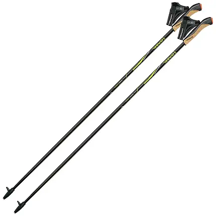 Карбонові палиці для скандинавської ходьби Gabel FX-75 Snake Carbon Dual Spike, 125 см (Black), фото 1