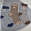 Шкарпетки махрові 6 пар «Смугасті ведмедики» жіночі зимові розмір 36-41 арт. 149.6, фото 4