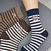 Шкарпетки махрові 6 пар «Смугасті ведмедики» жіночі зимові розмір 36-41 арт. 149.6, фото 9