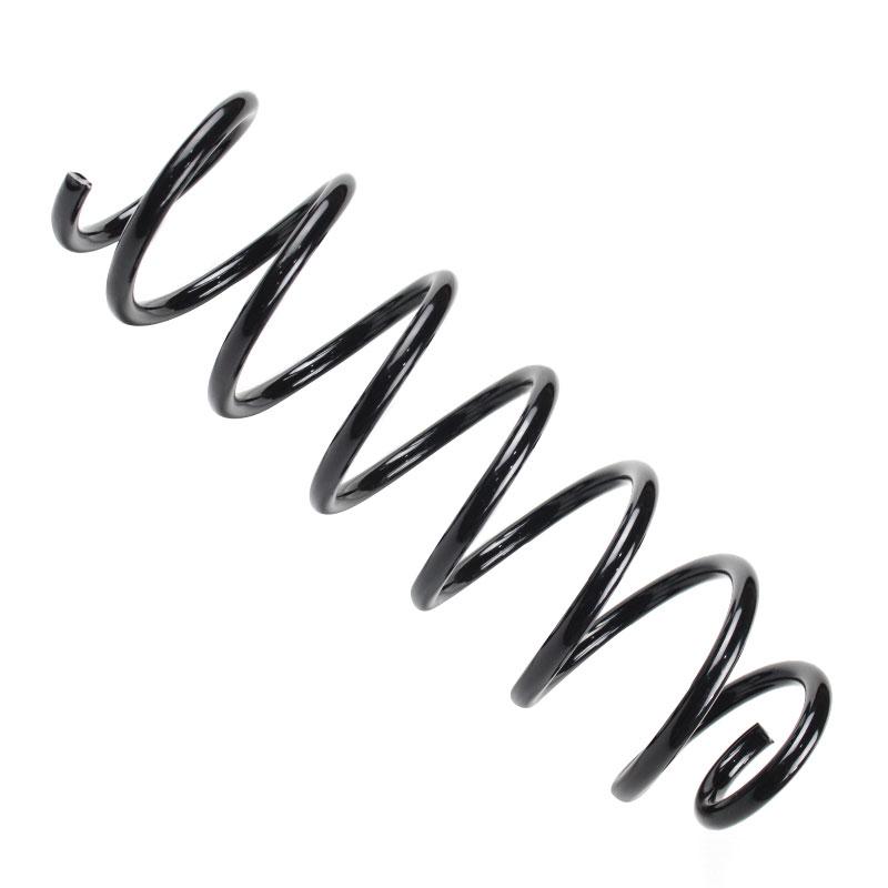 Пружина задня Scenic III 09-, Megane CC, фото 1