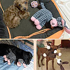 М'яка іграшка для собак з пищалкою 20см, Ослик, Коричневий / Плюшева іграшка для тварин / Іграшка пищалка для собак, фото 2