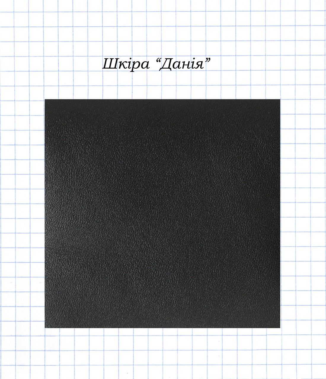 Шкіра "Данія", фото 1