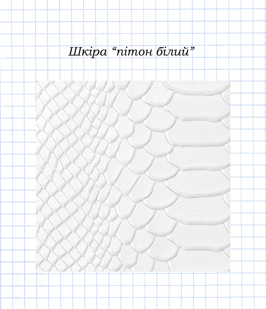 Кожа "питон белый": продажа, цена в Днепре. Услуги по пошиву и ремонту ...