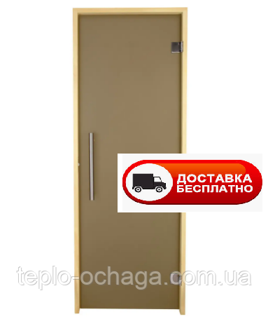 Лазневі двері Tesli Steel Sateen 1900х700