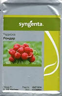 Насіння редиски Рондар F1 (Rondar F1) Syngenta 10000