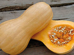 Насіння гарбуза Матільда F1/Matilda F1 500 насіння Enza Zaden