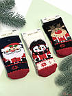 ОПТОМ Шкарпетки махра ароматизовані новорічні (7/0-3 міс.)  Pier Lone 8681788587048, фото 2