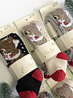 ОПТОМ Колготки махрові ароматизовані "New Year Teddy" (52-62 / 0-3 міс.)  Pier Lone 8681788586645, фото 3