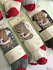 ОПТОМ Колготки махрові ароматизовані "New Year Teddy" (52-62 / 0-3 міс.)  Pier Lone 8681788586645, фото 4