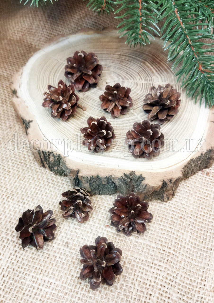 Набір шишок міні. До 3см (Уп 10 шт)., фото 1