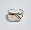 Срібна печатка з золотими накладками, фото 5