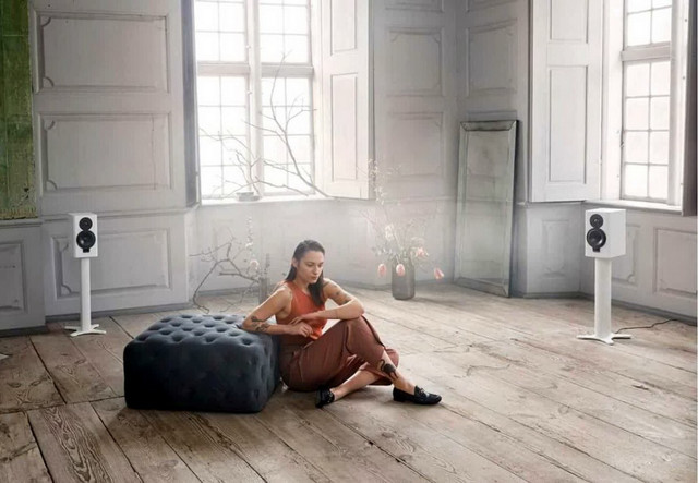 Dynaudio Xeo 20 Dynaudio Xeo 20