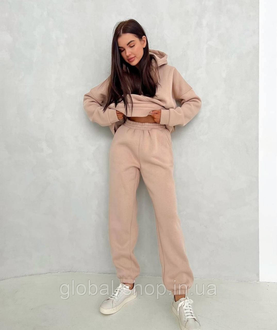 Теплий костюм штани та кофта з капюшоном двійка тринитка на флісі