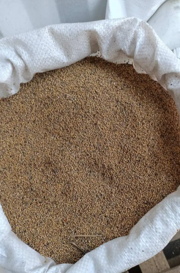 Гірчиця 10 кг, фото 1