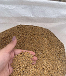 Гірчиця 10 кг, фото 3