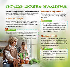 Дружболандія № 12-2024 (укр.) – Острів Шпіцберген, фото 5