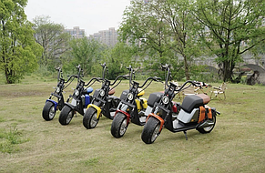 ЭЛЕКТРОСКУТЕР CITY COCO X18 (2000W 60V 26Ah), фото 4