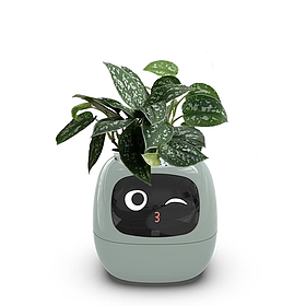 Інтерактивний розумний горщик для рослин Ivy Smart Planter Tuya AI Green