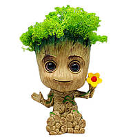 Кашпо зі стабілізованим мохом Грут горщик із квіточкою G8(3)