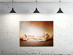 Картина на полотні ProfART S4560-z103 60 x 45 см Леви (hub_ntpe59906)