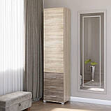 Шафа пенал Бриз Еверест 17 Дуб сонома + трюфель (50х38х210 см), фото 3