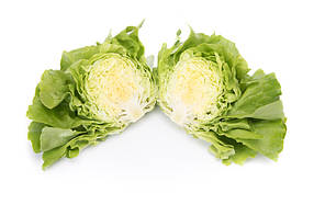 Насіння салату (маслянистий) Томбело Rijk Zwaan 1000 драже, фото 2