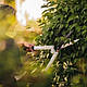 Ножиці для живоплоту Фіскарс / Fiskars White HS53 (1026931) Фінляндія, фото 4