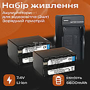 Набір акумулятори для відеосвітла, кільцевих ламп 6600 mAh та зарядний пристрій для акумуляторів f550/f570
