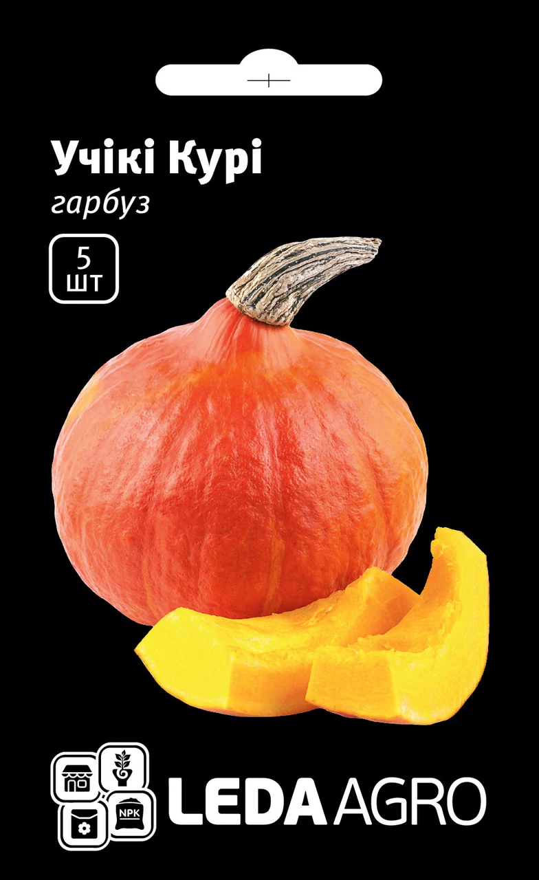 Насіння гарбуза Учікі Курі 5шт  "ЛедаАгро", фото 1