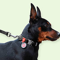 Нашийник для собак WAUDOG Waterproof, водостійкий, з QR паспортом, 25 мм, чорний L (34-49 см) (27861), фото 2