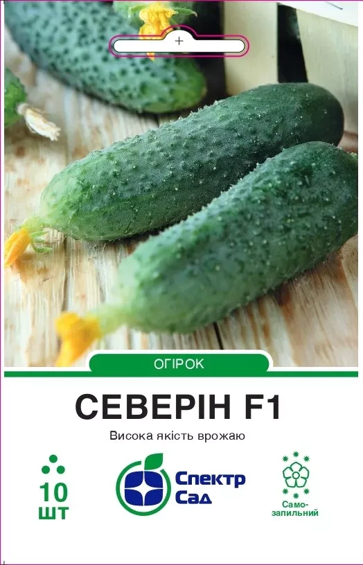 Огірок Северін F1, корнішон, партенокарпічний, 10 нас. СПЕКТР
