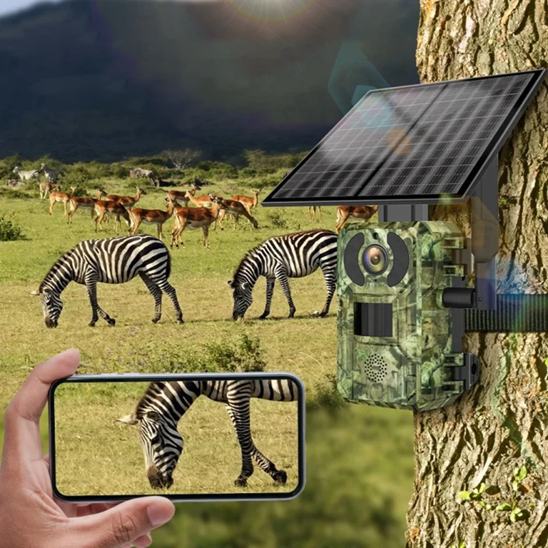 Лісові камери, Камера для полювання з нічною зйомкою (із сонячною панеллю), DVS, фото 1