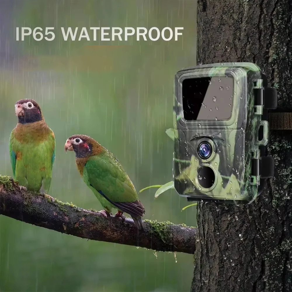 Камери для Полювання Фотопастки (mini, 4х AA), Фотопастка нічне бачення, DVS, фото 1