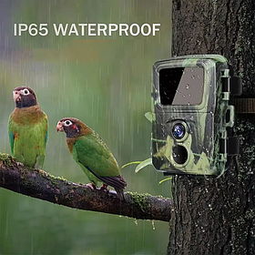 Камери для Полювання Фотопастки (mini, 4х AA), Фотопастка нічне бачення, DVS