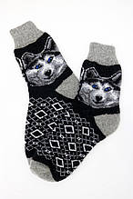 Шкарпетки чоловічі з овечої шерсті, розмір універсальний