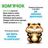 Картонна книга Хто де живе? 33 Віконця, 15x15 см, фото 4