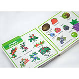 Картонна книга Світ навколо. Мої перші слова 33 віконця, 15x15 см, фото 4