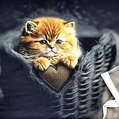 Трехнитка с начесом "Котик в корзинці" КУПОН 75х180см. Присутній надріз по кромці