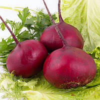 Насіння буряка Борщова на вагу, Агролінія