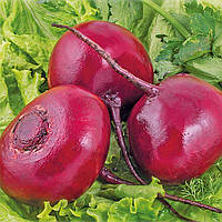 Насіння буряка Мулатка на вагу, Агролінія