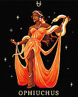 Картина за номерами Змієносець 40x50 см набір для малювання акрилові фарби на полотні для початківців і художників BSB0045