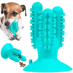 Іграшка для собак Кактус на присосці PetFun Denta / Жувальна іграшка для чищення зубів собак