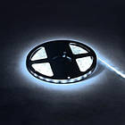 Стрічка світлодіодна Horoz Electric NIL 24W/5м. 6400K 12V 4,8Lm/1led IP20 28X35 60led/м (081-002-0001-021)