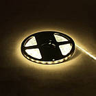 Стрічка світлодіодна Horoz Electric NIL 24W/5м. 4200К 12V 4,8Lm/1led IP20 28X35 60led/м (081-002-0001-061)