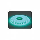 Стрічка світлодіодна Horoz Electric COLORADO 5W/1м 7Lm/1led IP65 28X35 156led/м синя 50м (081-006-0001-060)