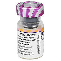 Вакцина жива проти Ньюкаської хвороби та інфекційного бронхіту курей V.H.+H-120 5000 доз ABIC Biological