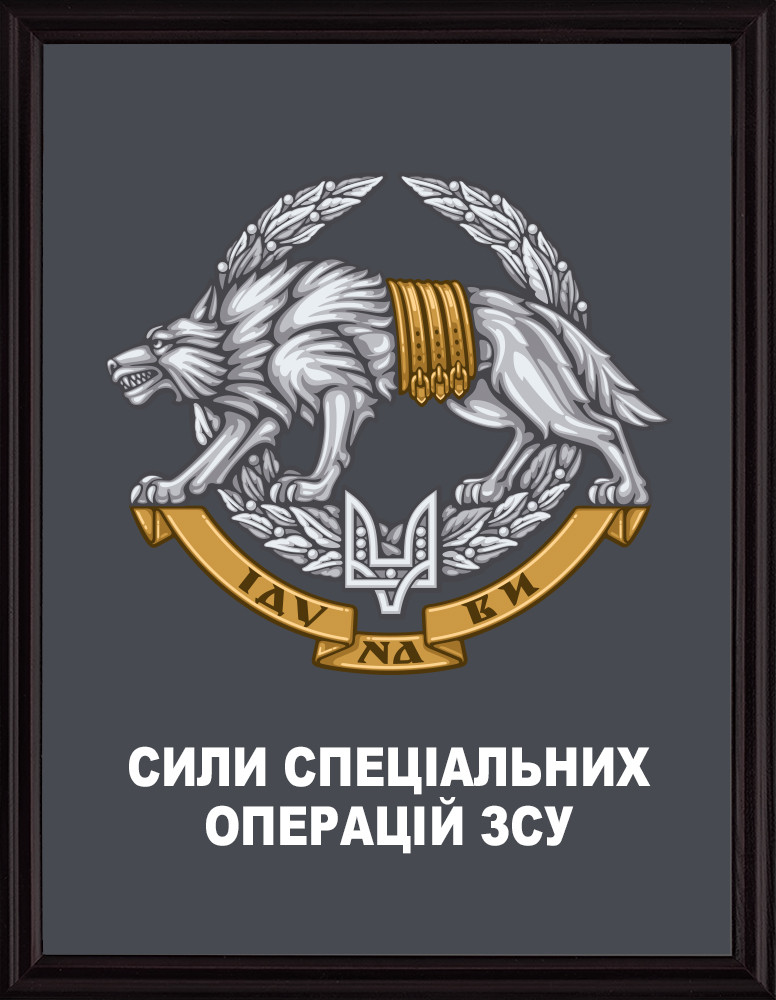 Плакетка ССО, Емблема Сили спеціальних операцій України, Герб ССО