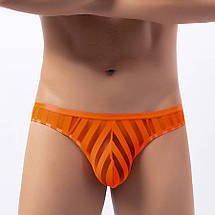 Смугасті прозорі чоловічі бікіні, фото 4