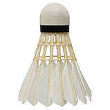 Волани для бадмінтону перові 6 шт. у тубусі TELOON TB3600, фото 3